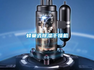 行業(yè)新聞蜂巢式除濕干燥機(jī)