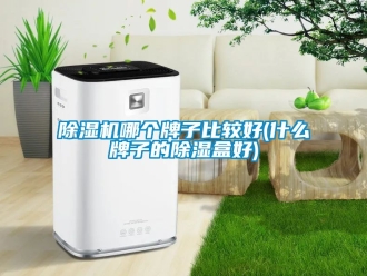 行業(yè)新聞除濕機哪個牌子比較好(什么牌子的除濕盒好)