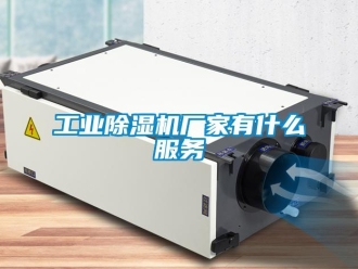 企業新聞工業除濕機廠家有什么服務