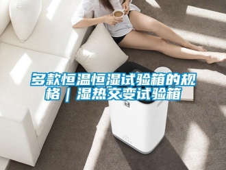 知識百科多款恒溫恒濕試驗箱的規格｜濕熱交變試驗箱
