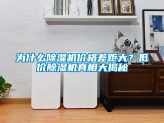 知識百科為什么除濕機價格差距大？低價除濕機真相大揭秘