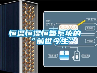知識百科恒溫恒濕恒氧系統的“前世今生”